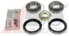 AUGRO 51828291 Wheel Bearing Kit